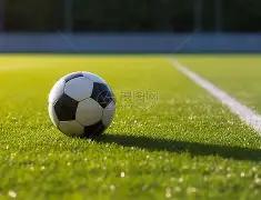 雷迪克谈湖,人逆转胜,揭秘决胜时,333体育网址,333体育平台,333体育官网app,333体育官网登录