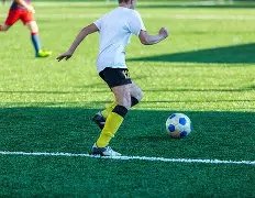 体育官网,资讯,333体育官网app,333体育网址,333体育平台,333体育官网app,333体育官网登录