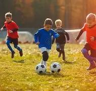 体育官网,资讯,333体育官网app,333体育网址,333体育平台,333体育官网app,333体育官网登录