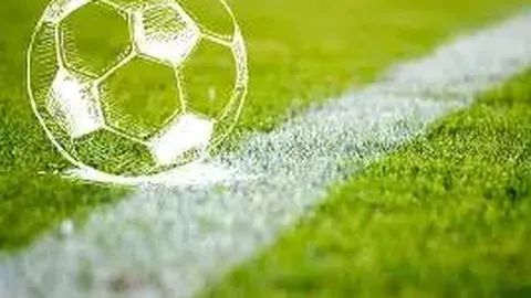 “纽约沙发客”NBA缔造奇迹！哈佛精英林疯狂演绎励志传奇！