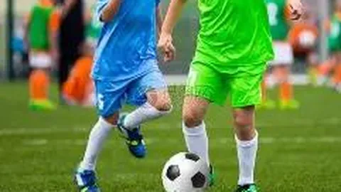 333体育官网app 产品 100310 n8m