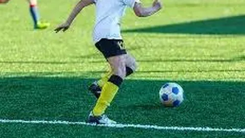 333体育官网app 资讯 112758 ear