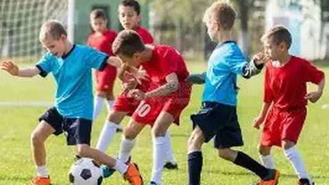 333体育官网app 产品 112211 mhd