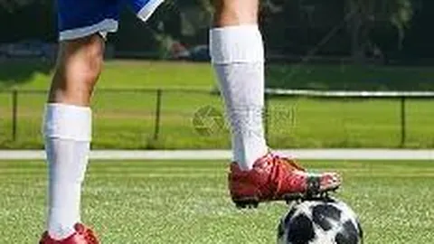 333体育官网app 产品 112108 mn4