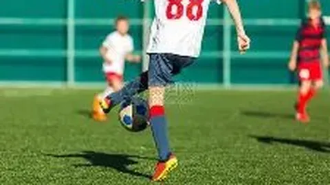 333体育官网app 资讯 113053 0mj