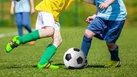 “环保检测中生物降解塑料袋的评估项目包括哪些？”