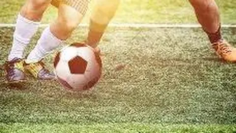 “识别黄金曼特宁：与普通曼特宁有何差异？”