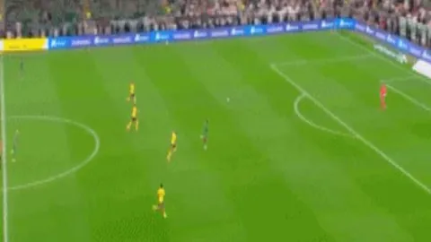 333体育官网app 资讯 093641 47p