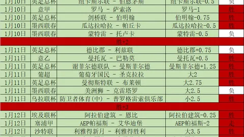 美国私募机构确认收购维罗纳俱乐部全部股权，官方公告股权变更