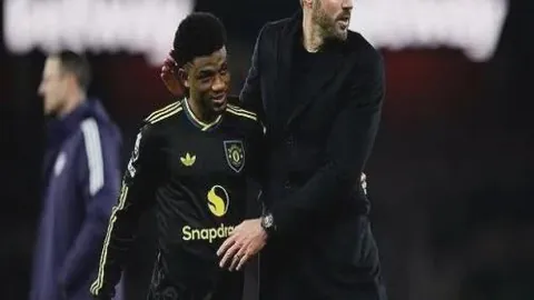 333体育官网app 资讯 224908 p36